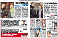 Artikel als PDF Downloaden